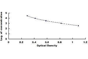 Typical standard curve (Testosterone ELISA Kit)