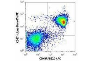 Flow Cytometry (FACS) image for anti-Tetraspanin 26 (TSPAN26) antibody (PE) (ABIN2662624) (CD37 antibody  (PE))