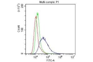 Flow Cytometry analysis of Hela cells using anti-LFA3 antibody . (CD58 antibody  (AA 29-215))