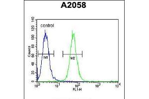 Flow cytometric analysis of A2058 cells (right histogram) compared to a negative control cell (left histogram). (ABHD14B antibody  (C-Term))