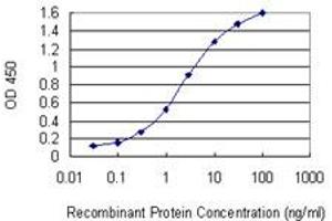 Detection limit for recombinant GST tagged GSTT2 is 0. (GSTT2 antibody  (AA 145-244))