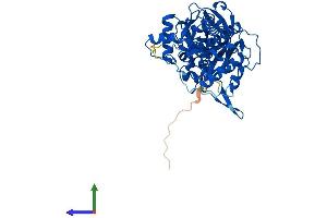 AlphaFold protein structure predicition of Mouse Recombinant Dars1 Protein, UniprotID Q922B2 (DARS Protein (AA 1-501) (His tag))