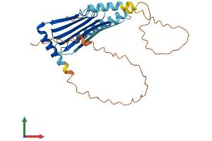 AlphaFold protein structure predicition of Mouse Recombinant Mlf1 Protein, UniprotID Q9QWV4