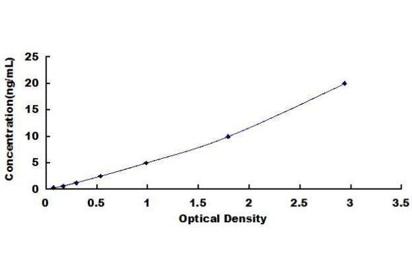 OSBPL8 ELISA Kit