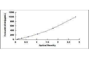 Typical standard curve (CCL9 ELISA Kit)