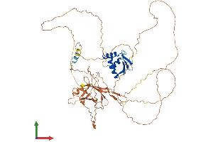 Protein Structure (PS) image for E74-Like Factor 2 (Ets Domain Transcription Factor) (ELF2) (AA 1-593) protein (His tag) (ABIN7547377)
