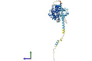 Protein Structure (PS) image for MAP Kinase Interacting serine/threonine Kinase 1 (MKNK1) (AA 1-427) protein (His tag) (ABIN7562178)