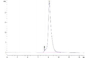 The purity of Mouse DDR2 is greater than 95 % as determined by SEC-HPLC. (DDR2 Protein (AA 22-399) (His tag))