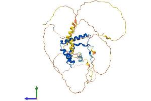 Protein Structure (PS) image for SRY (Sex Determining Region Y)-Box 1 (SOX1) (AA 1-391) protein (His tag) (ABIN7563438)