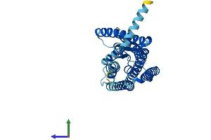 AlphaFold protein structure predicition of Human Recombinant OR4F21 Protein, UniprotID O95013 (OR4F21 Protein (AA 1-312) (His tag))