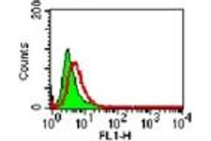 Image no. 2 for anti-Tumor Necrosis Factor Receptor Superfamily, Member 11a, NFKB Activator (TNFRSF11A) (Extracellular Domain) antibody (ABIN208201) (TNFRSF11A antibody  (Extracellular Domain))