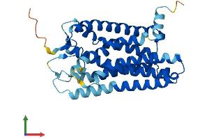AlphaFold protein structure predicition of Human Recombinant OR2J1 Protein, UniprotID Q9GZK6 (OR2J1 Protein (AA 1-312) (His tag))