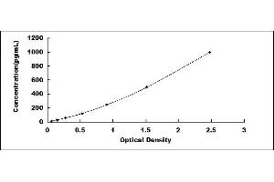 Typical standard curve (NEFH ELISA Kit)