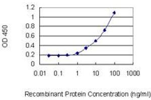 ELISA image for anti-Tissue Specific Transplantation Antigen P35B (TSTA3) (AA 222-321) antibody (ABIN563274)