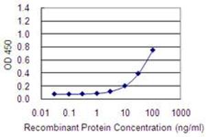Detection limit for recombinant GST tagged HYAL4 is 1 ng/ml as a capture antibody. (HYAL4 antibody  (AA 357-456))