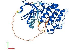 AlphaFold protein structure predicition of Human Recombinant AURKC Protein, UniprotID Q9UQB9 (Aurora Kinase C Protein (AURKC) (AA 1-309) (His tag))