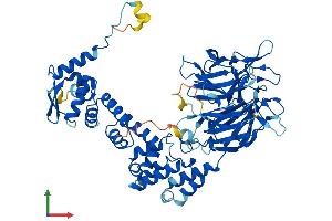 AlphaFold protein structure predicition of Human Recombinant KLHL32 Protein, UniprotID Q96NJ5