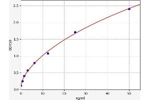 Typical standard curve (CNDP2 ELISA Kit)