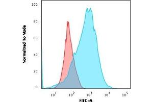 Flow Cytometric Analysis of MOLT-4 cells using CD2 Mouse Monoclonal Antibody (BH1) followed by goat anti-Mouse IgG-CF488 (Blue); Isotype Control (Red). (CD2 antibody)