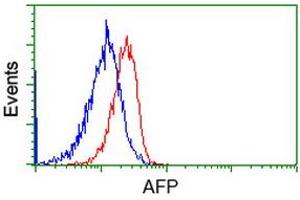 Image no. 1 for anti-alpha-Fetoprotein (AFP) antibody (ABIN1496485) (alpha Fetoprotein antibody)