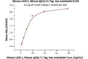 Immobilized Human Collagen I protein at 2 μg/mL (100 μL/well) can bind Mouse LAIR-1, Mouse IgG2a Fc Tag, low endotoxin (ABIN5954988,ABIN6809980) with a linear range of 1-10 ng/mL (QC tested).
