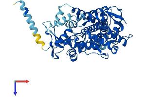 CYP2C9 Protein (AA 1-490) (His tag)