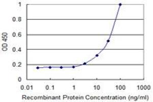 Detection limit for recombinant GST tagged ANGPTL3 is 1 ng/ml as a capture antibody. (ANGPTL3 antibody  (AA 17-460))