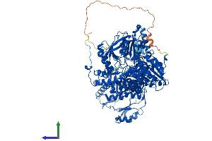 Protein Structure (PS) image for ATP Citrate Lyase (ACLY) (AA 1-1101) protein (His tag) (ABIN7551855)