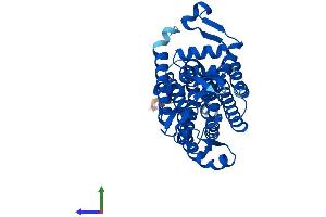 AlphaFold protein structure predicition of Mouse Recombinant Dpagt1 Protein, UniprotID P42867 (DPAGT1 Protein (AA 1-410) (His tag))