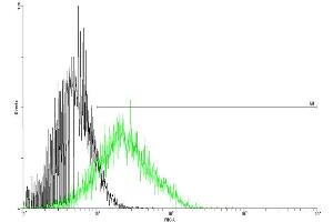 FACS analysis of negative control 293 cells (Black) and CSF2RA expressing 293 cells (Green) using CSF2RA purified MaxPab mouse polyclonal antibody. (CSF2RA antibody  (AA 1-400))