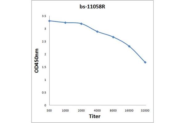 APBA3 antibody  (AA 241-340)