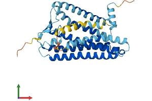 AlphaFold protein structure predicition of Human Recombinant OR6B2 Protein, UniprotID Q6IFH4 (OR6B2 Protein (AA 1-312) (His tag))