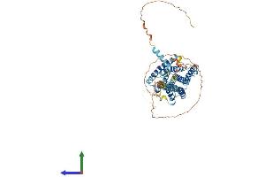 AlphaFold protein structure predicition of Human Recombinant GPR101 Protein, UniprotID Q96P66