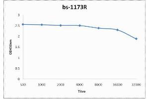 Antigen: 0. (TNFRSF18 antibody  (AA 201-274))