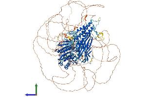 AlphaFold protein structure predicition of Mouse Recombinant Fam135a Protein, UniprotID Q6NS59 (FAM135A Protein (AA 1-1506) (His tag))