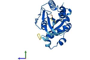 AlphaFold protein structure predicition of Mouse Recombinant Gimd1 Protein, UniprotID E9PW74 (GIMD1 Protein (AA 1-217) (His tag))