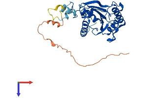 PGAM5 Protein (AA 1-289) (His tag)