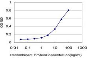 Detection limit for recombinant GST tagged NDUFB7 is approximately 1ng/ml as a capture antibody. (NDUFB7 antibody  (AA 38-137))