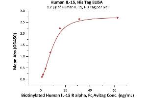 Interleukin 15 (IL15) (AA 49-162) (Active) protein (His tag)