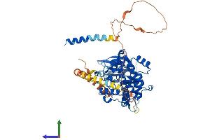 AlphaFold protein structure predicition of Human Recombinant VRK2 Protein, UniprotID Q86Y07