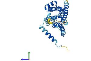 Protein Structure (PS) image for Nurim (Nuclear Envelope Membrane Protein) (NRM) (AA 1-262) protein (His tag) (ABIN7549989)