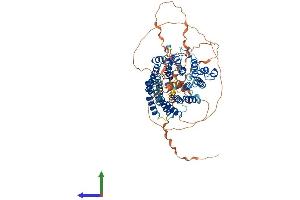 AlphaFold protein structure predicition of Human Recombinant TRAPPC12 Protein, UniprotID Q8WVT3 (TTC15 Protein (AA 1-735) (His tag))