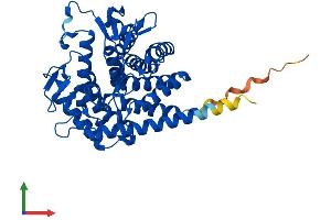 AlphaFold protein structure predicition of Human Recombinant RENBP Protein, UniprotID P51606