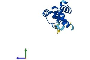 AlphaFold protein structure predicition of Mouse Recombinant Plac8 Protein, UniprotID Q9JI48
