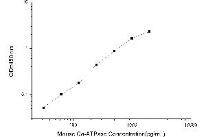 Typical standard curve (Calcium ATPase At 60A (CA-P60A) ELISA Kit)