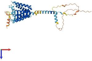 AlphaFold protein structure predicition of Human Recombinant TMEM198 Protein, UniprotID Q66K66 (TMEM198 Protein (AA 1-360) (His tag))