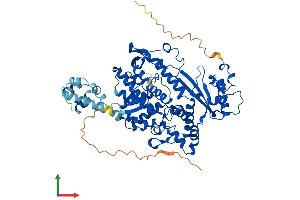 Protein Structure (PS) image for SAM Domain and HD Domain 1 (SAMHD1) (AA 1-626) protein (His tag) (ABIN7545958)