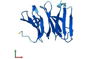 AlphaFold protein structure predicition of Human Recombinant NHLRC4 Protein, UniprotID P0CG21 (NHLRC4 Protein (AA 1-123) (His tag))