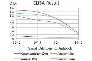 ELISA image for anti-RAB4A, Member RAS Oncogene Family (RAB4A) antibody (ABIN1108812) (Rab4 antibody)