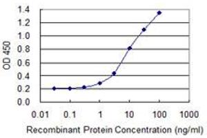 Detection limit for recombinant GST tagged PPP6C is 0. (PPP6C antibody  (AA 1-305))